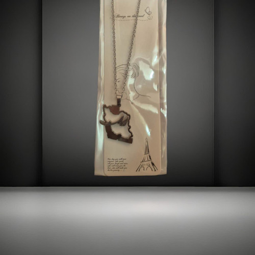 گردنبند استیل